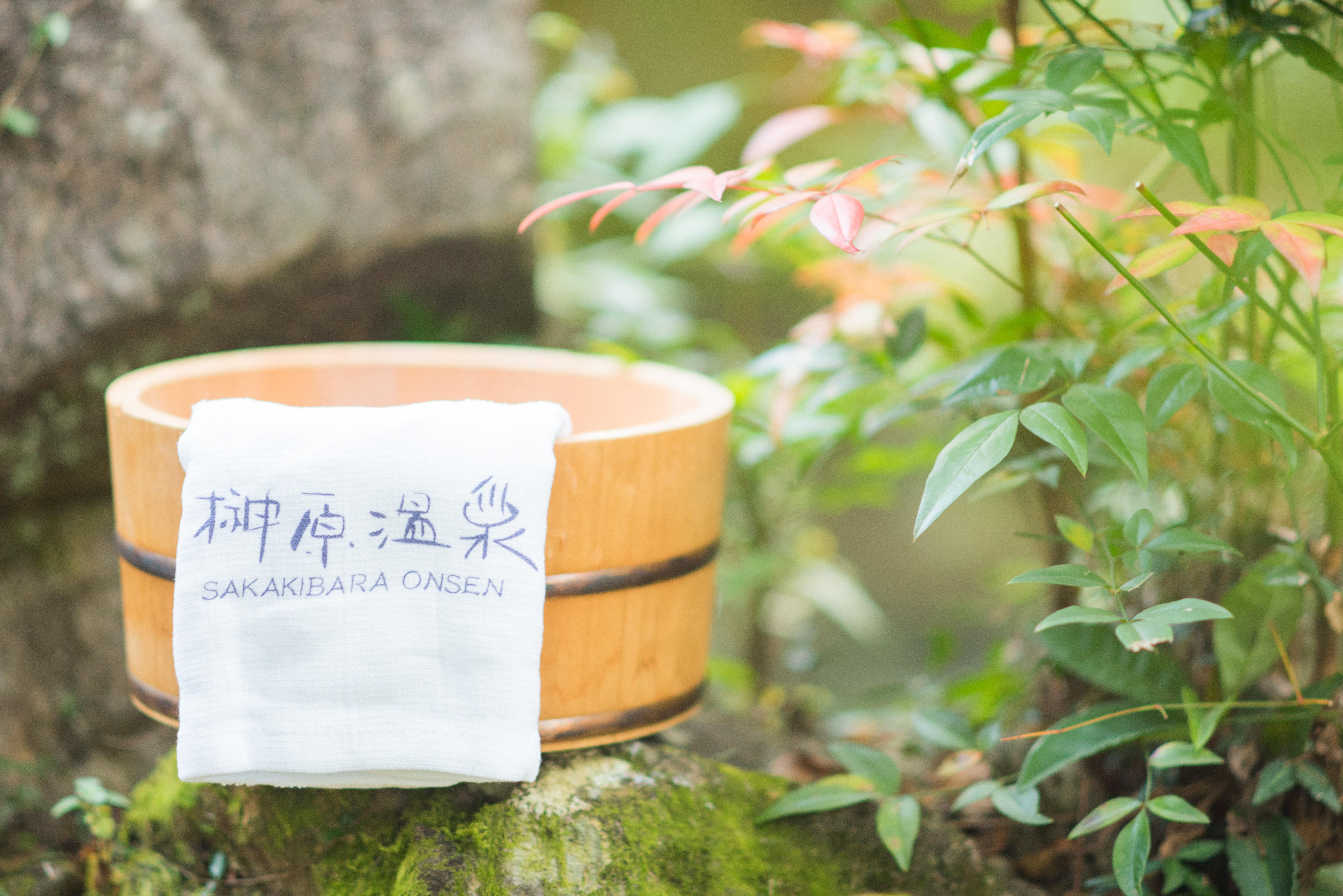 사카키하라 온천 × 노르딕 워킹! 사카키하라 특유의 건강하고 호화스러운 체험 프로그램으로 전신으로 치유를 느낄 때를!