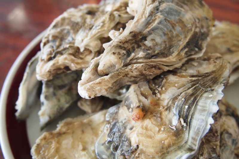 体验牡蛎畅吃,就在鸟羽市浦村！快来尽享冬季美食“牡蛎”吧！