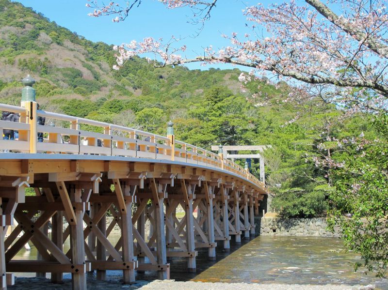 【伊势】前往许多日本人“一辈子至少要去一次”的“伊势神宫”。