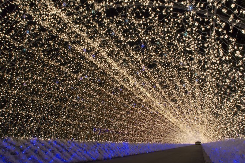 One of the largest illuminations in Japan