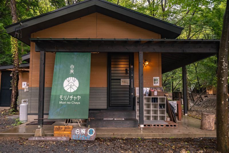 A Trendy Cafe in the Forest