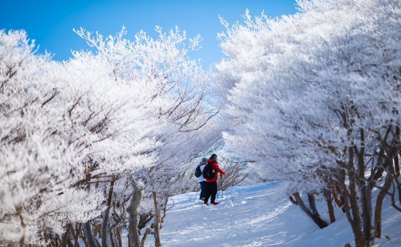 Mt. Gozaisho— A snow paradise with fun for young and old