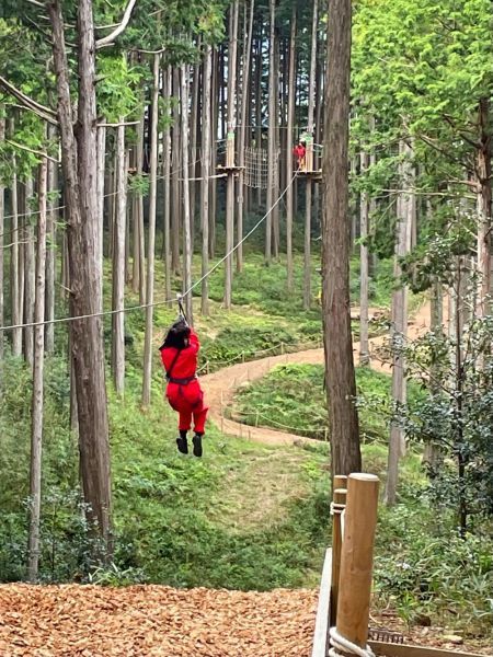 Zip Lines through the forest canopy are so exciting