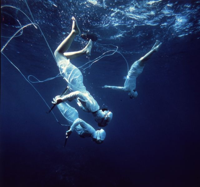 The daily life of a free-diving woman