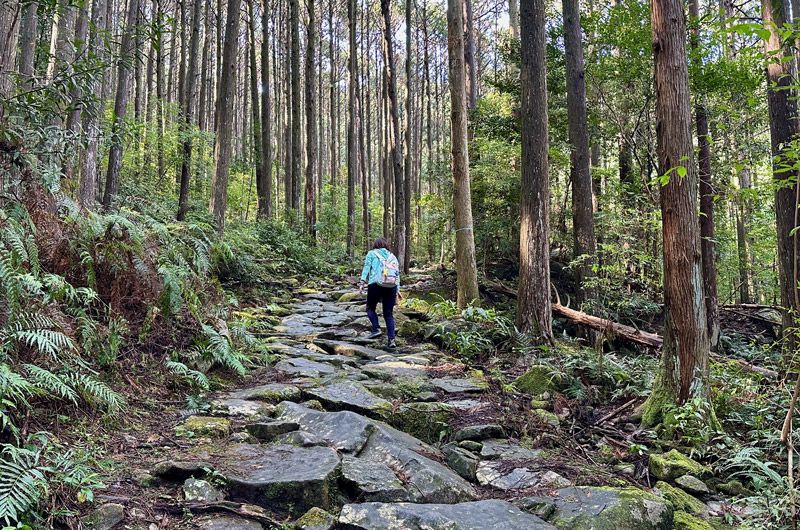 World Heritage Kumano Kodo Iseji Route:The Magose-Toge Pass