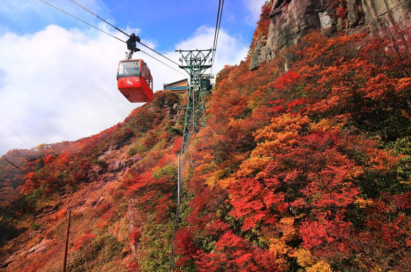 Mount Gozaisho—Autumn Leaves