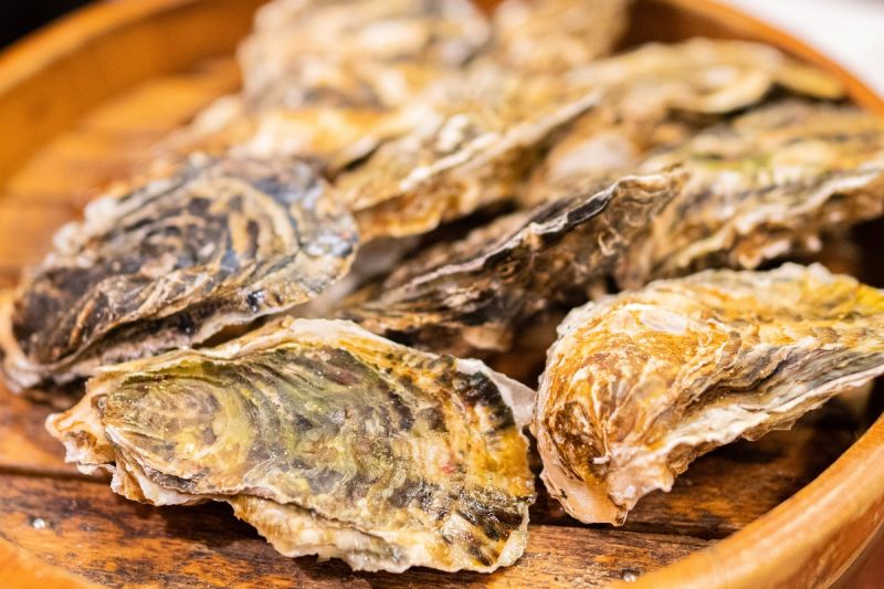 Si desea degustar ostras de roca y ostras crudas, ¡no encontrará mejor lugar que la prefectura japonesa de Mie!