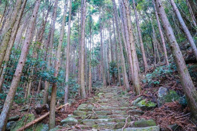 สู่เส้นทางศักดิ์สิทธิ์มรดกโลกแห่งการแสวงบุญที่ Kumano Kodo Matsumoto - Toge Pass และ ศาลเจ้า