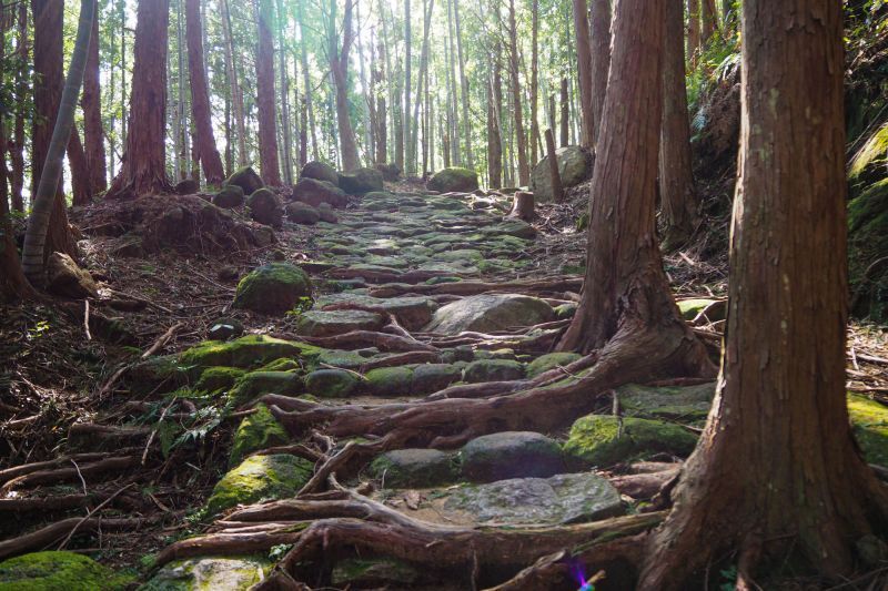 從「松本峠」開始，走進世界唯二之朝聖路世界遺產「熊野古道」。