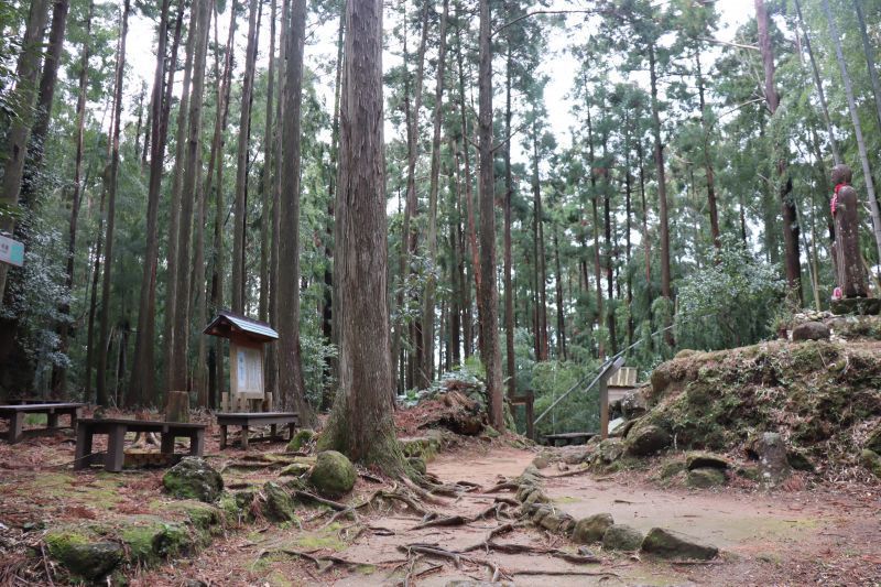 依循古代人的腳步，欣賞大自然的美麗景致，來一趟聖地巡迴之旅「熊野古道伊勢路-松本峠」