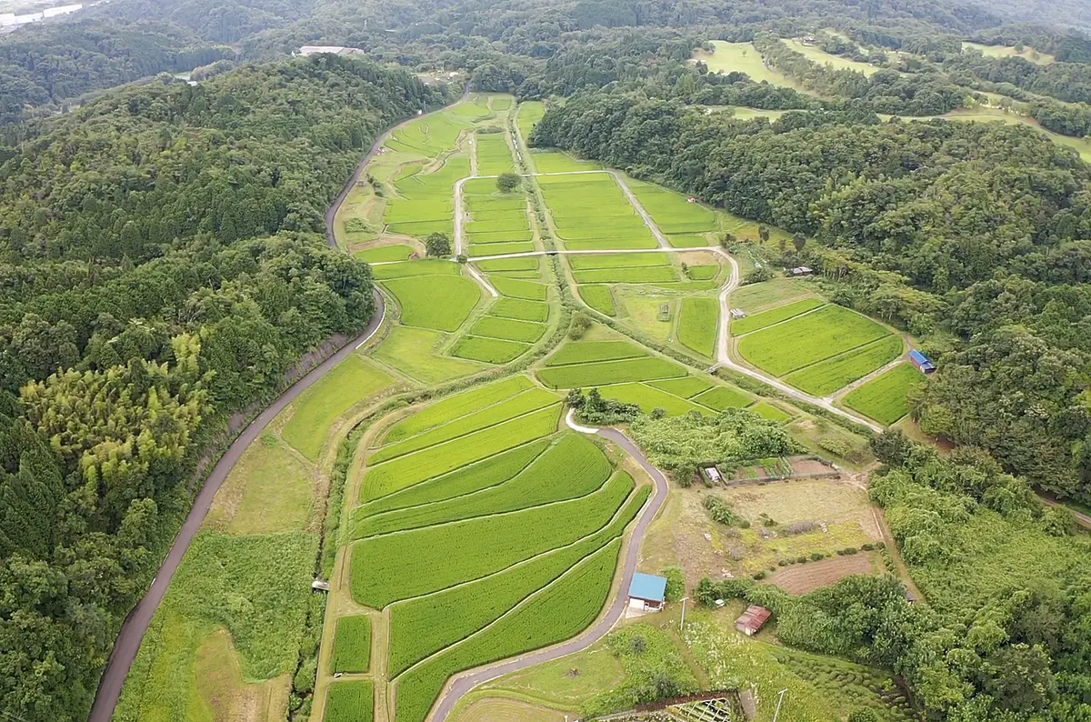西山の棚田