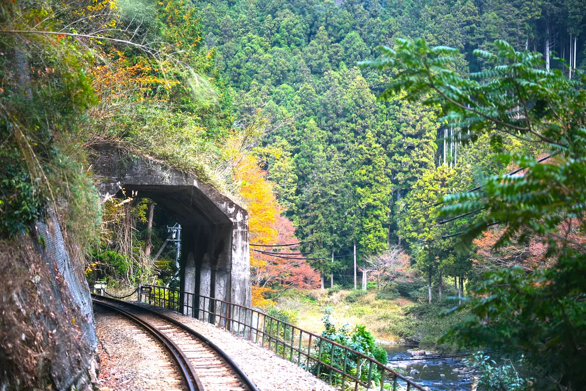 名松線の車窓から雲出川渓谷