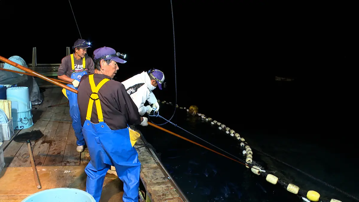 定置網漁体験の出港
