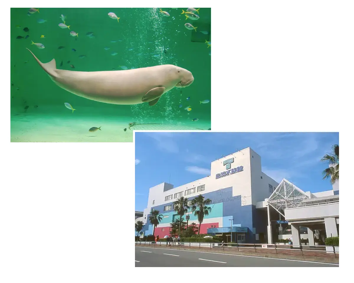 鳥羽水族館