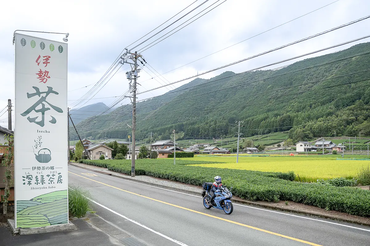 深緑茶房