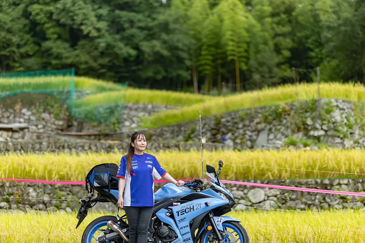深野のだんだん田