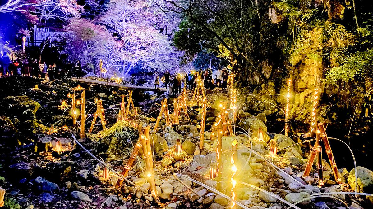 赤目四十八滝渓谷の新しいライトアップ 「幽玄の竹灯」は幻想的で別格