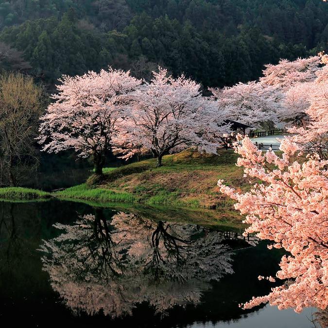 里桜 line_oa_chat_240319_153819.jpg