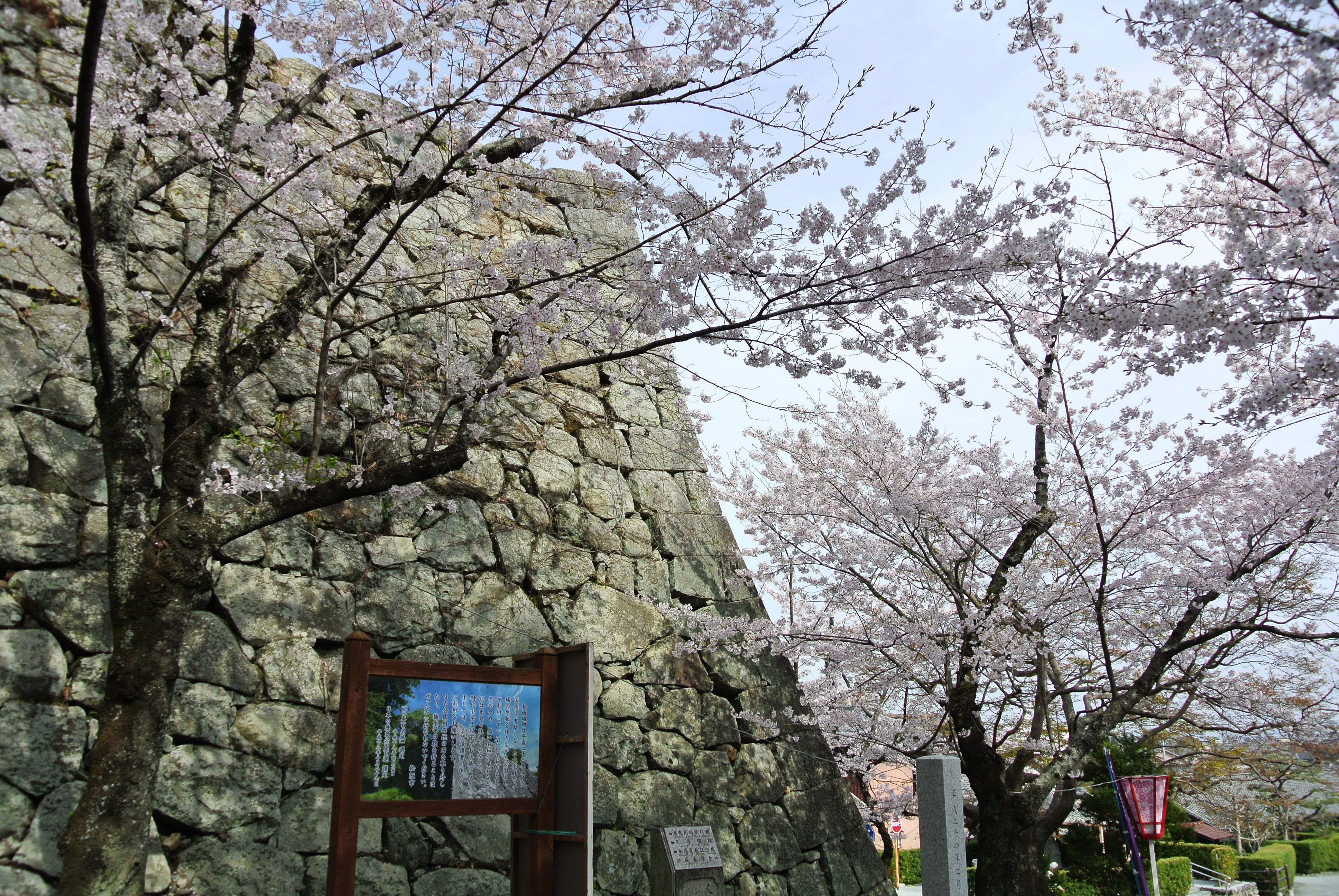 마쓰사카 성터(마쓰사카 공원)