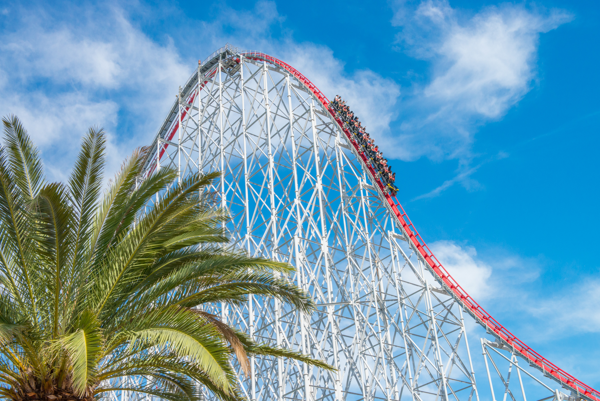 世界最大のスチールドラゴン2000