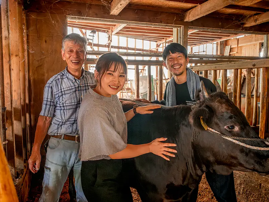 一流ブランド肉「松阪牛」の育て方とは？見て、聞いて、触れて、実際に
