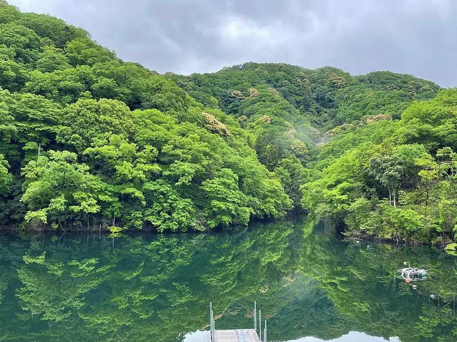 涼ヴィソン　-愛犬とワン歩道-