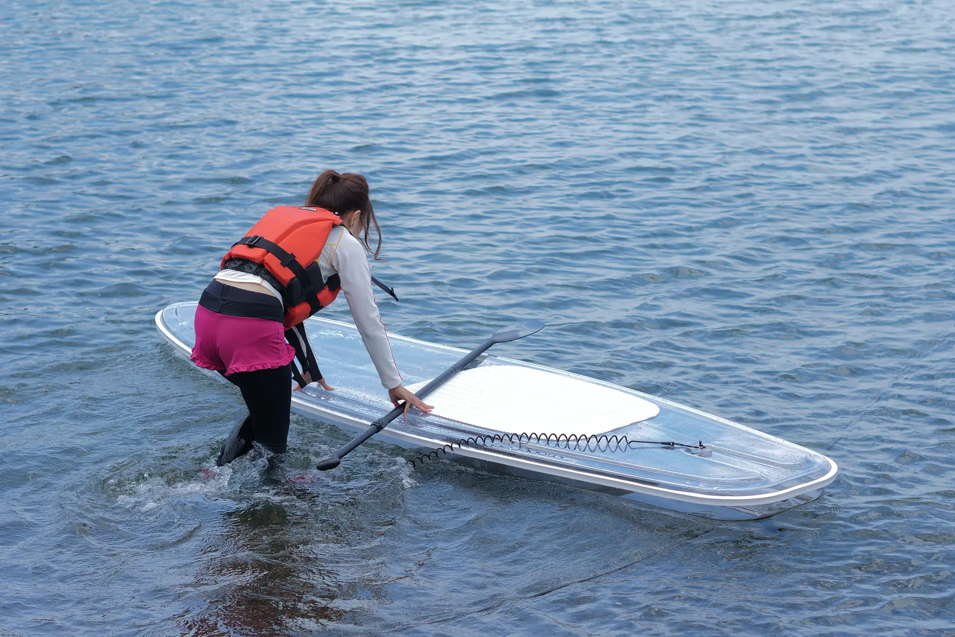 スケルトンサップ