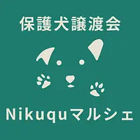 保護犬譲渡会