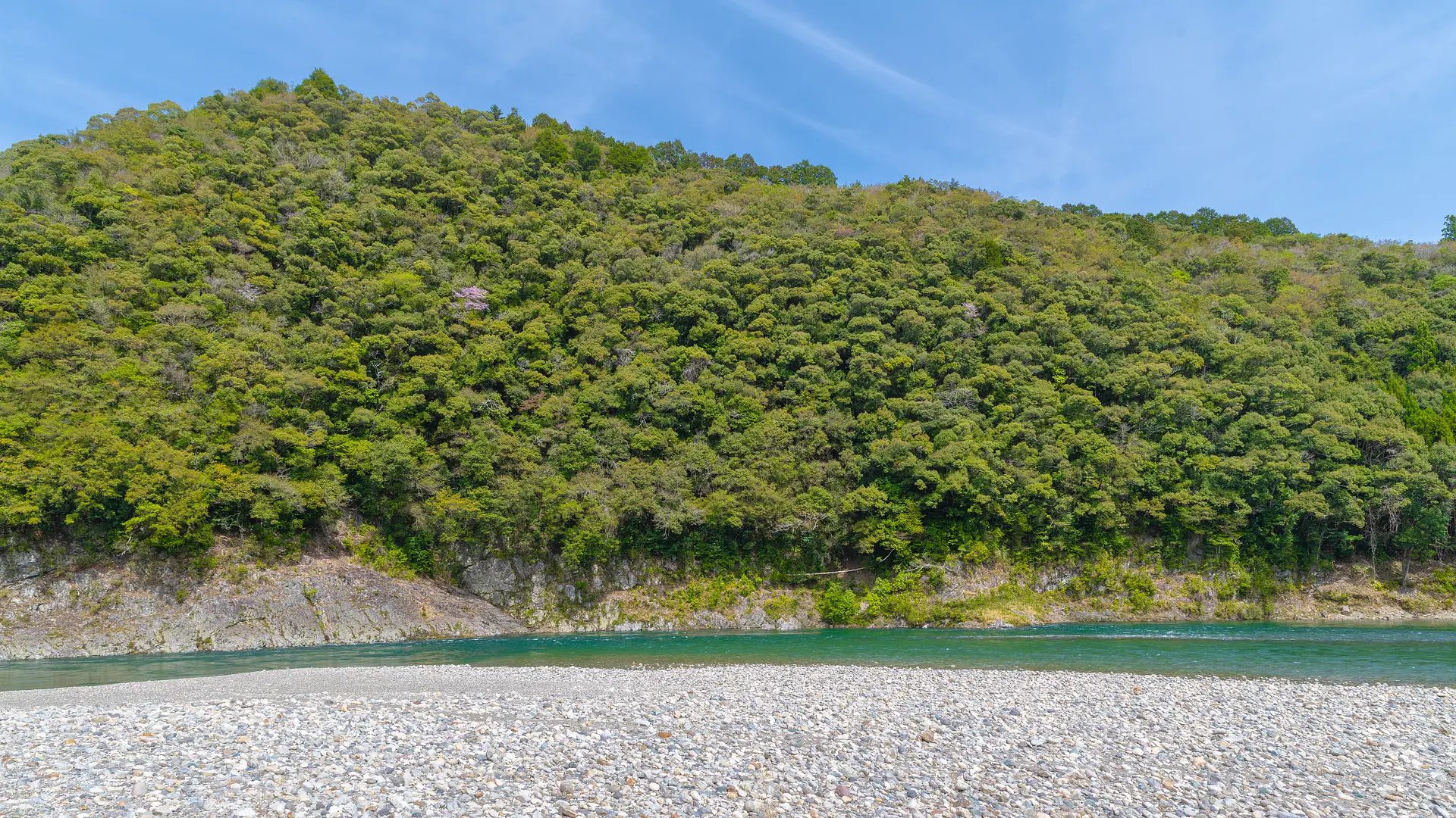 北山川のほとり