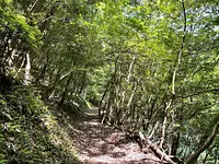 涼ヴィソン　-愛犬とワン歩道-