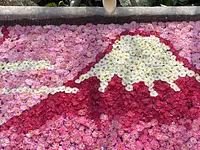季節の花で彩る花手水