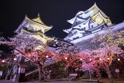 Castillo Iga Ueno y flores de cerezo