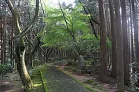 ふるさと芭蕉の森公園2