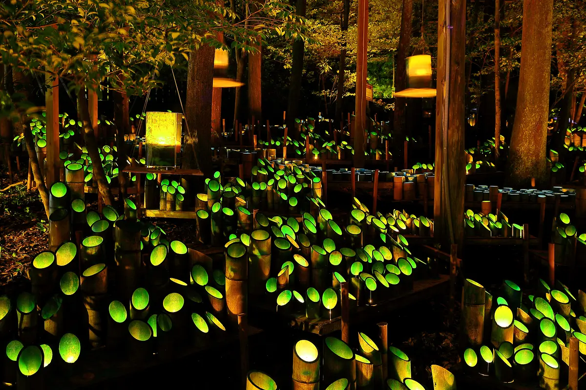 竹灯り、ニングルの森
