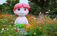 かっぴぃと秋桜