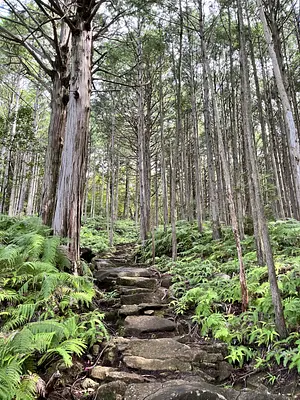 毎月開催　「岩屋堂ゆるまいり」ツアー