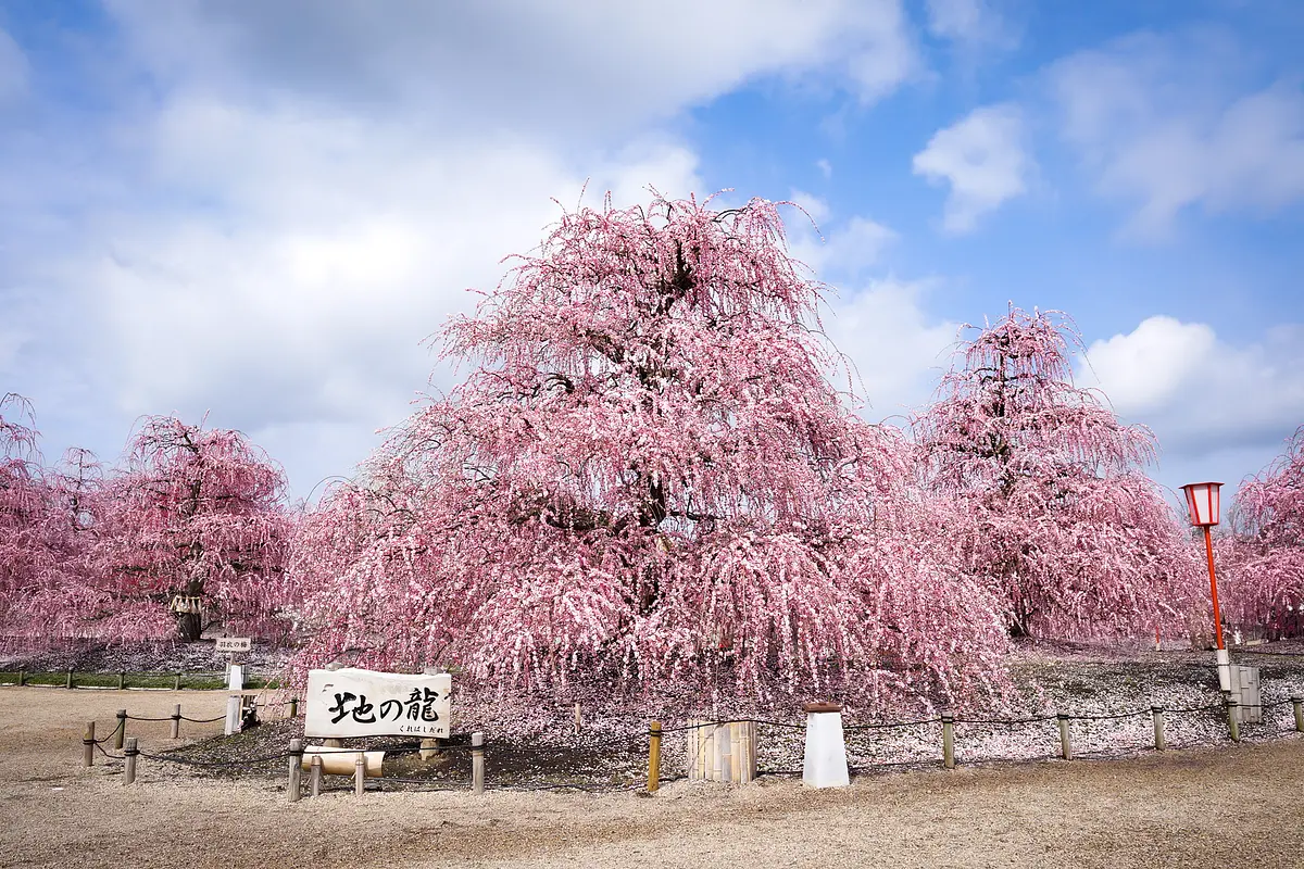 鈴鹿の森庭園