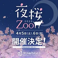 夜桜Zoo