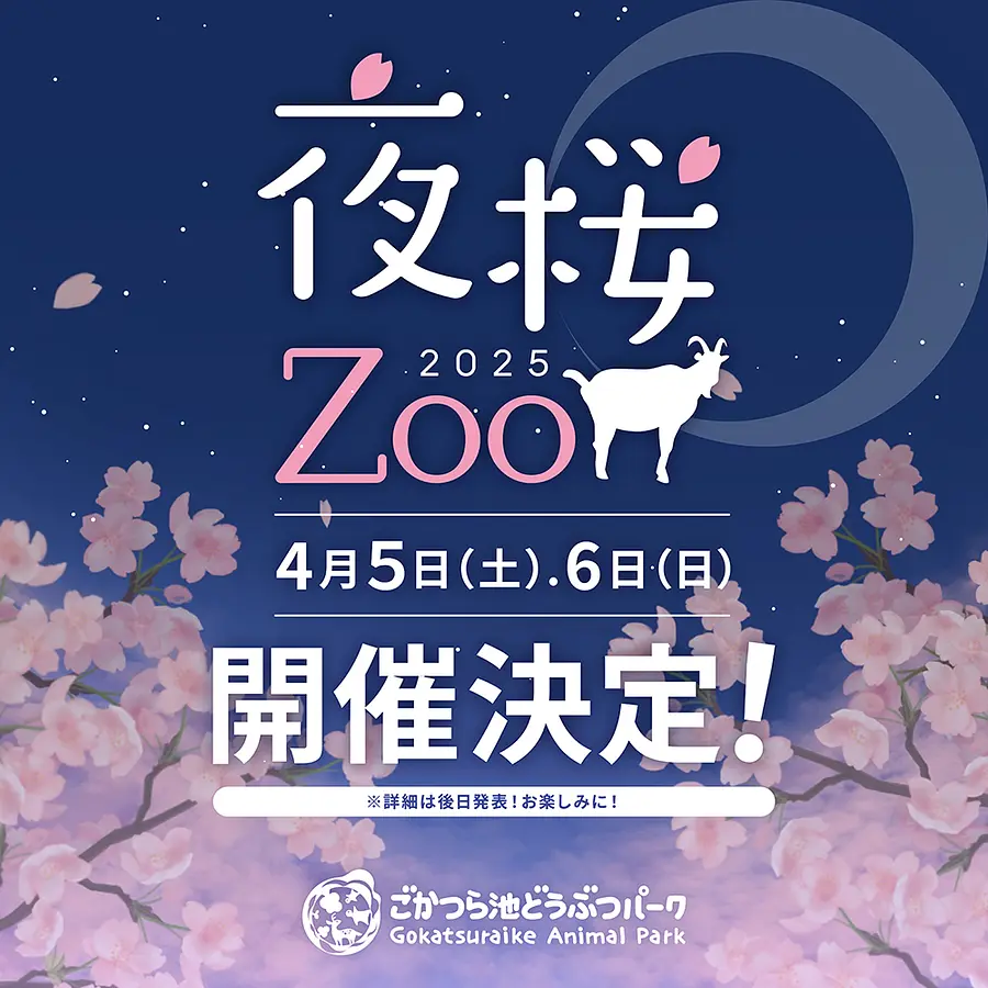 夜桜Zoo