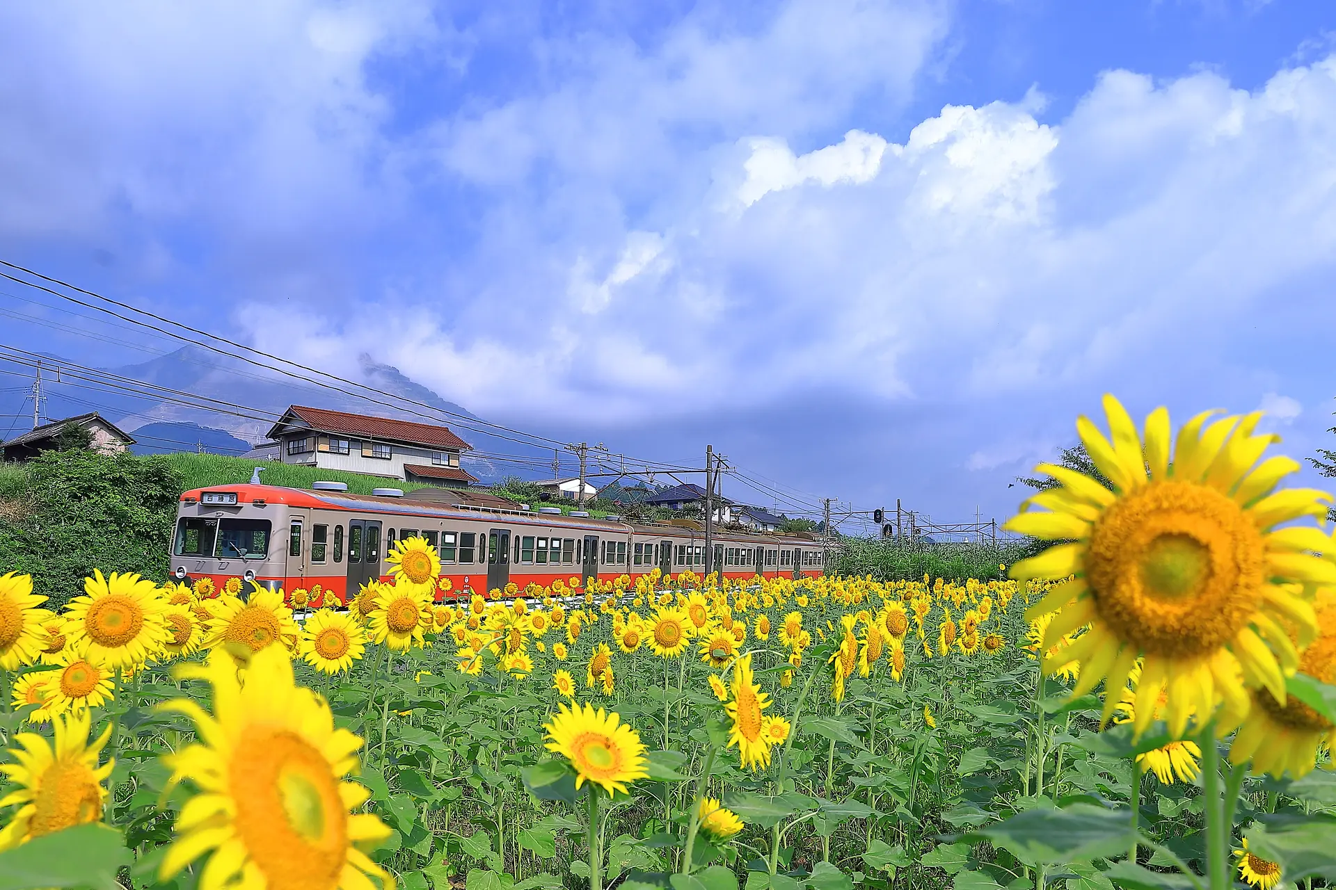 赤電が行く。（西武鉄道カラー復刻）