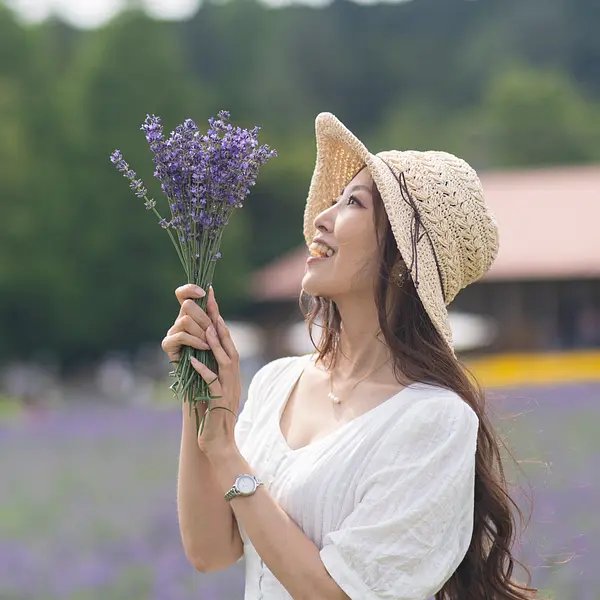 キャスターマミの画像