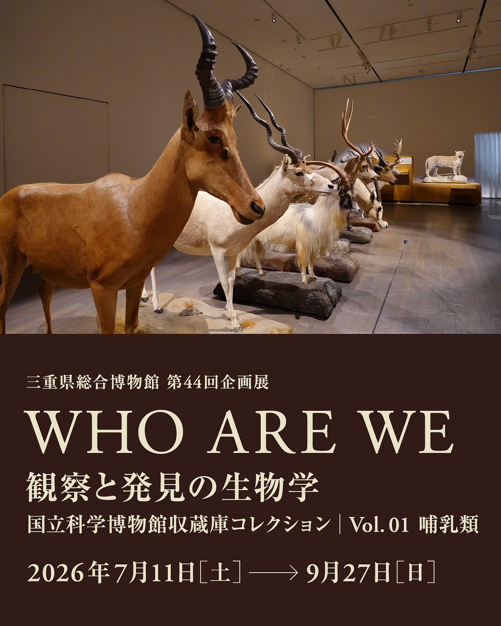 第44回企画展 WHO ARE WE 観察と発見の生物学 国立科学博物館収蔵庫