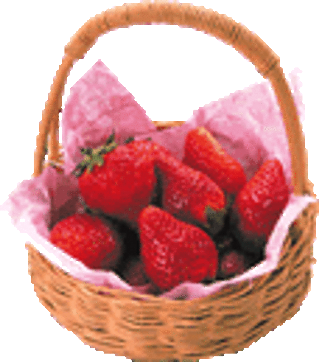 国道23号線近く！！トリックスいちご園 | 観光スポット | 観光