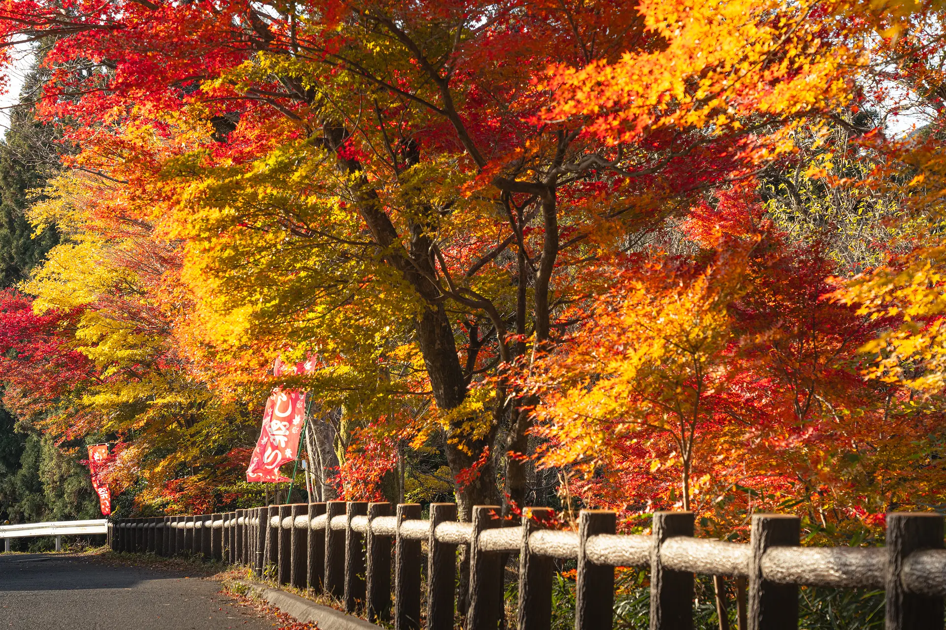 三重県の紅葉の名所（水沢の紅葉連盟写真）
