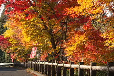 三重県の紅葉の名所（水沢の紅葉連盟写真）