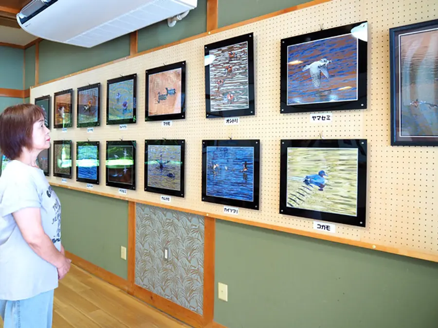 【展示】（波瀬駅）西村速雄 野鳥写真展