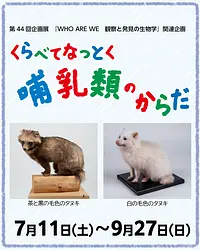 関連企画　くらべて　なっとく　哺乳類のからだ