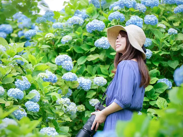 chiiの画像