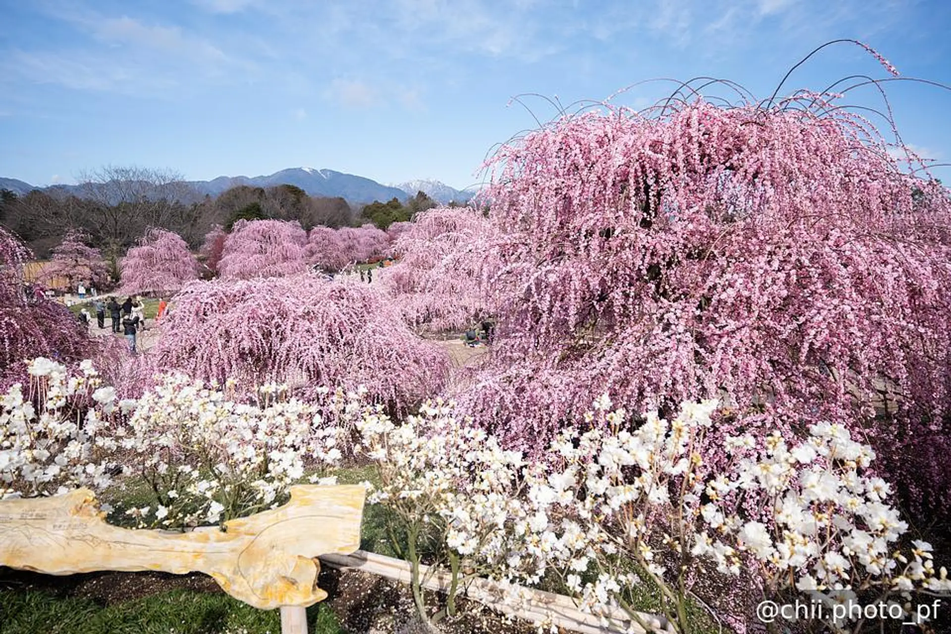 見晴台からの眺め