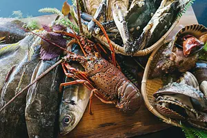 世界の食通がもとめる最高峰の寿司　至高の本格寿司握り体験